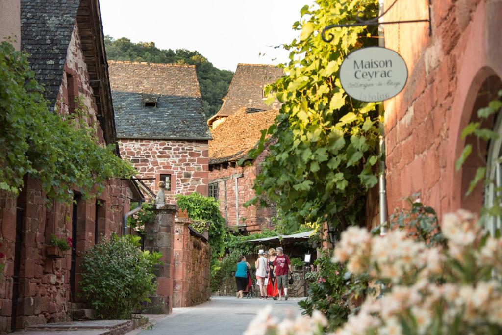 Les Gites Du Gauliat Espartignac Exterior foto